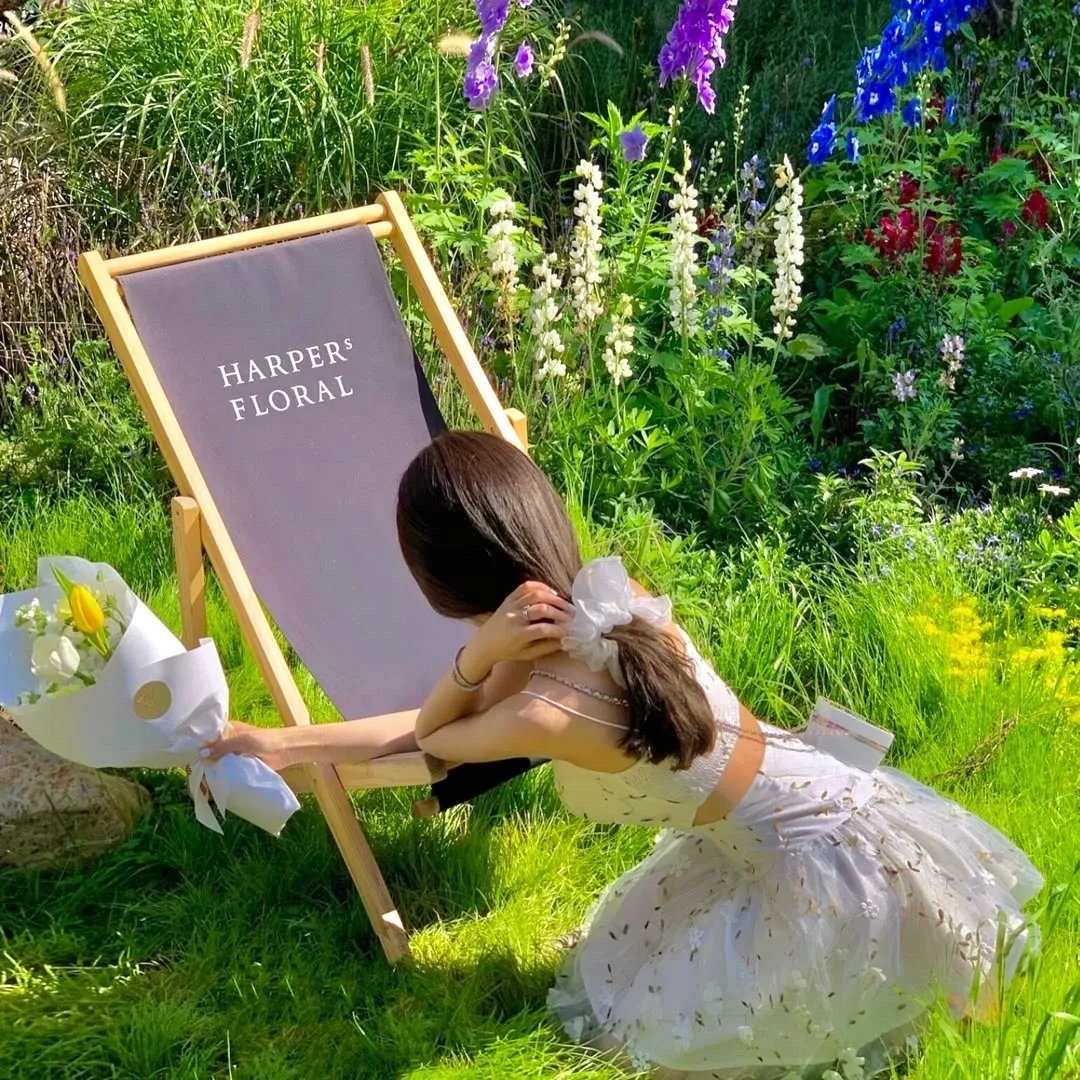 最强败家子系统